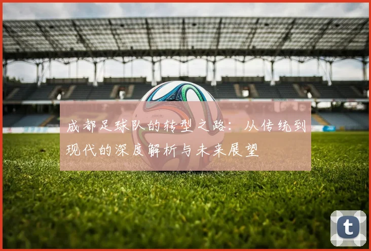 成都足球队的转型之路：从传统到现代的深度解析与未来展望