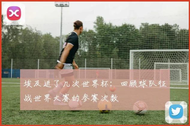 埃及进了几次世界杯：回顾球队征战世界大赛的参赛次数